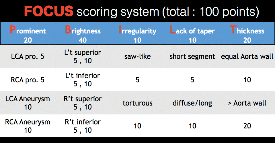 FOCUS score system principles